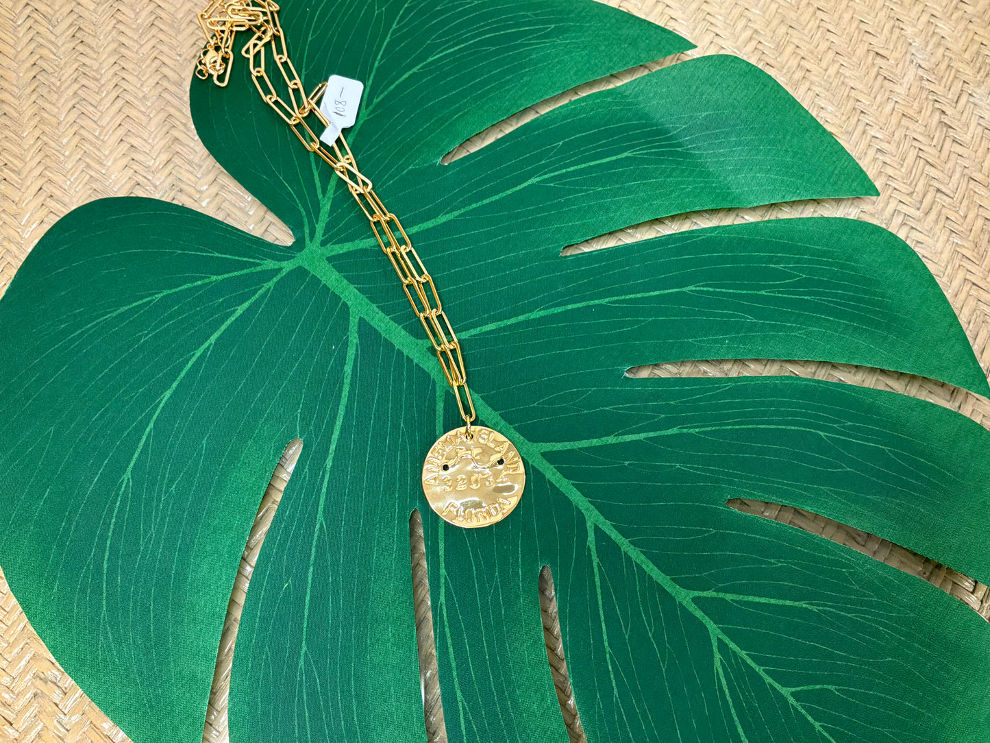Amelia Island Beach Tag