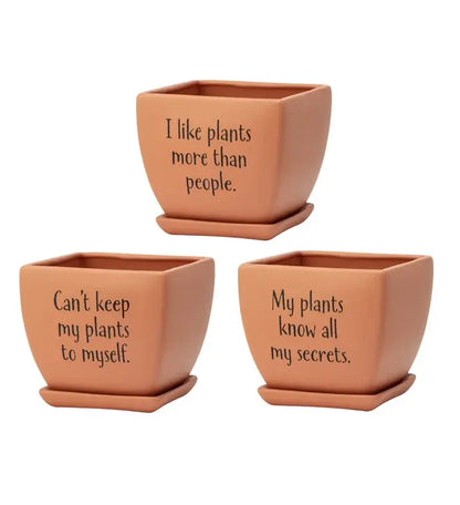 Funny Square Planters Set 3   Plant Lovers Item #14922
